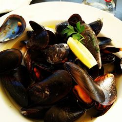Close-up of seafood