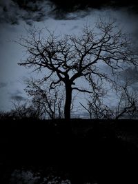 Silhouette bare tree against sky