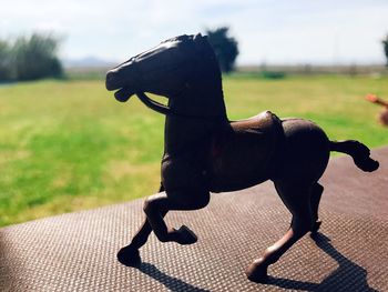 Close-up of horse against sky