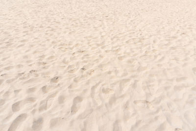 High angle view of sandy beach