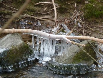 Close-up of frozen water in winter