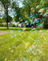 High angle view of bubbles in park