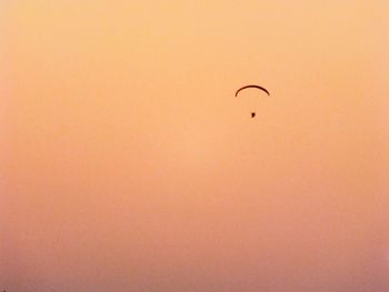 Bird flying in sky at sunset