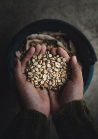 Cropped hands holding coffee beans