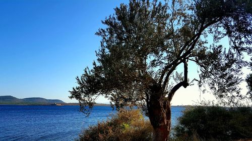 Scenic view of sea against clear blue sky