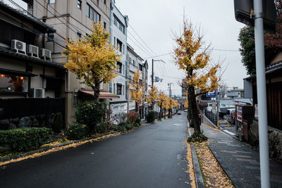 Street amidst trees and buildings in city