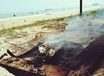 Close-up of fish on beach against sky