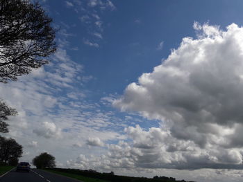 Low angle view of trees against sky