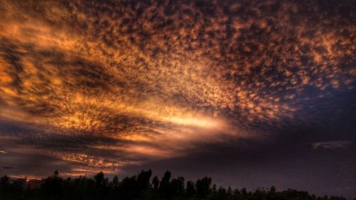 Silhouette trees against dramatic sky