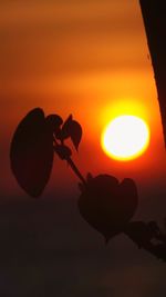 Close-up of hand holding sun