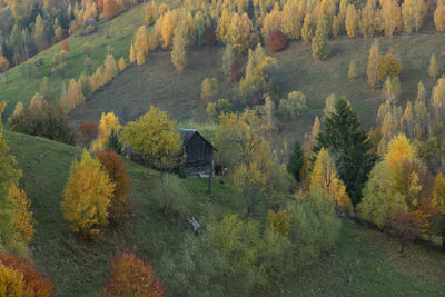 Scenic view of trees and mountains during autumn