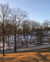 Bare trees on snow covered landscape