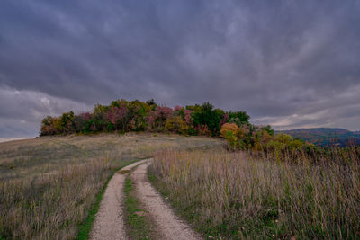 Scenic view of agricultural field against sky