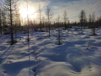 Snow covered field against sky during sunset
