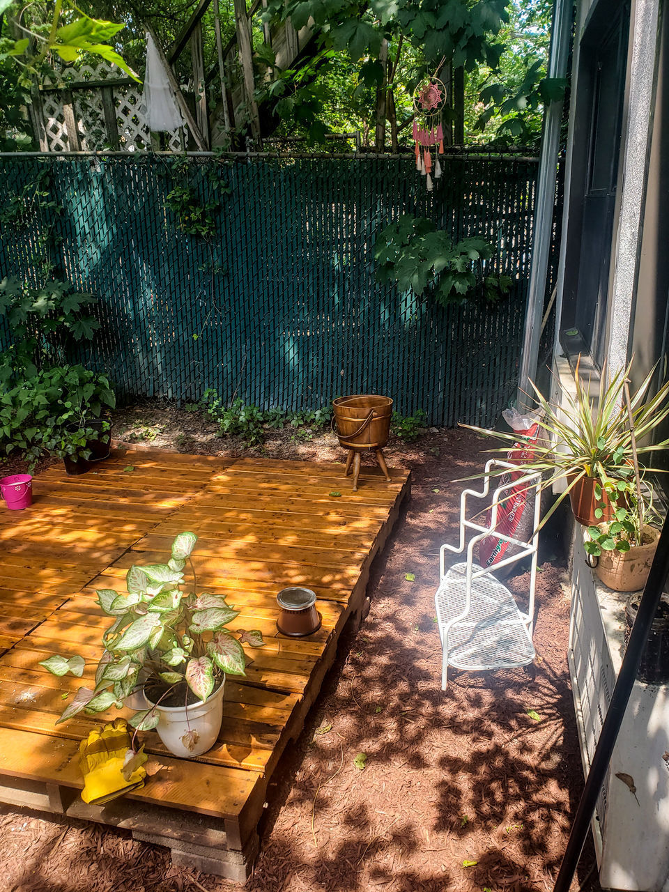 POTTED PLANTS ON TABLE IN BACKYARD