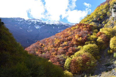 Scenic view of mountains and trees against sky