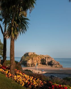 Scenic view of sea against clear sky