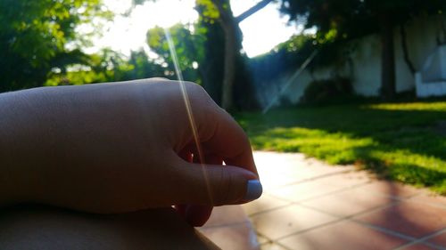 Close-up of hand on grass