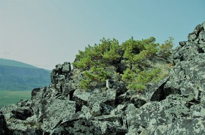 rock