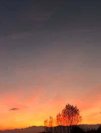 Scenic view of silhouette trees against sky during sunset