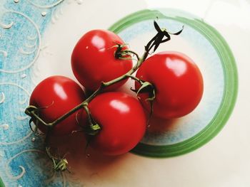 Close-up of tomatoes in plate