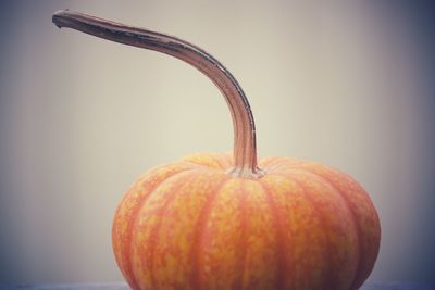 Close-up of pumpkin against white background