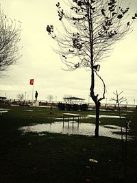 Bare trees on landscape against cloudy sky