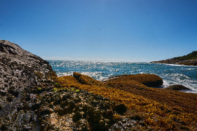 Scenic view of sea against clear blue sky