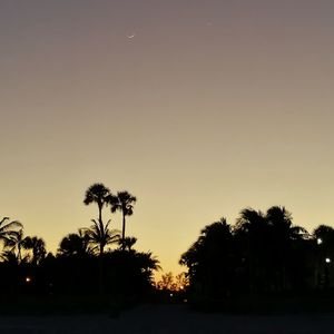 Silhouette palm trees against sky during sunset
