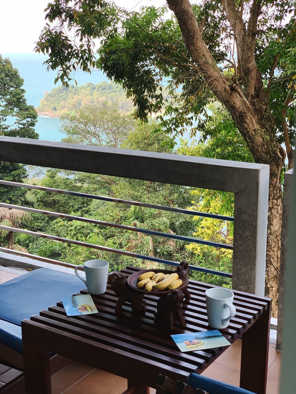 TABLE AND CHAIRS BY WINDOW WITH TREE