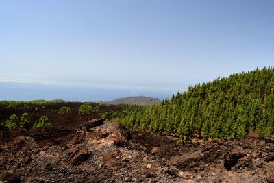 Scenic view of landscape against clear sky