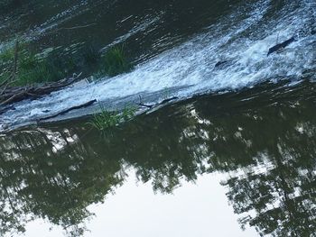 High angle view of waterfall in forest