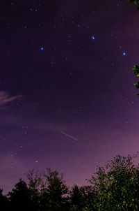 Low angle view of trees against sky at night