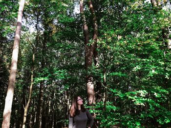 Trees and plants growing in forest