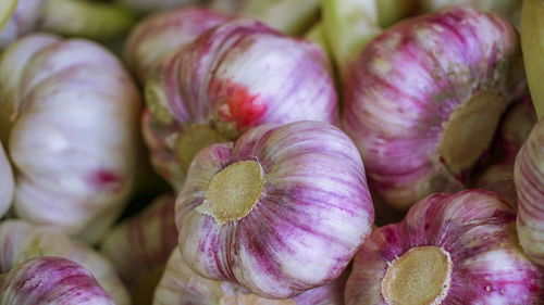 Full frame shot of purple for sale in market