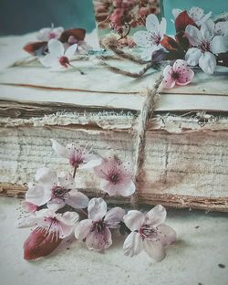 Close-up of flowers on table