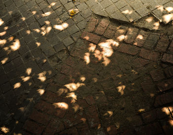 High angle view of shadow on floor