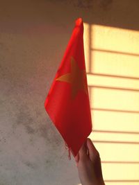 Close-up of person holding flag