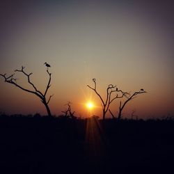 Silhouette of landscape at sunset