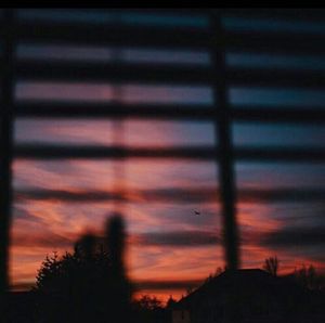 Silhouette of trees against dramatic sky