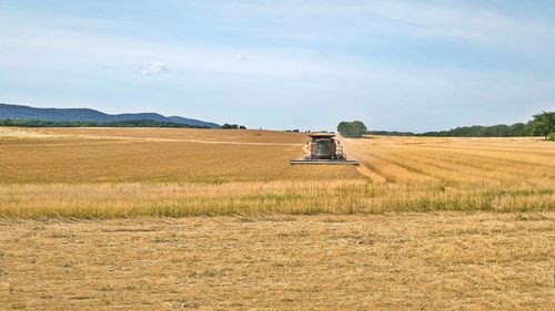 Combine harvester on field against sky