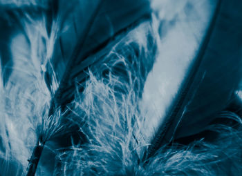 Full frame shot of feathers on sea