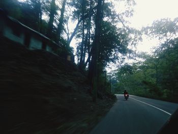 Rear view of man walking on road in forest