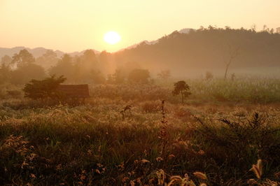 Scenic view of landscape against sky during sunset