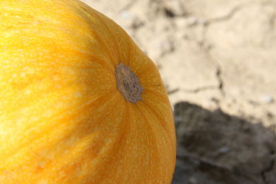 Close-up of pumpkin