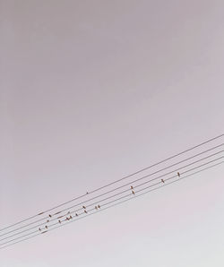 Low angle view of birds flying against clear sky