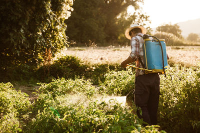 Rear view of man spraying fertilizers on plants