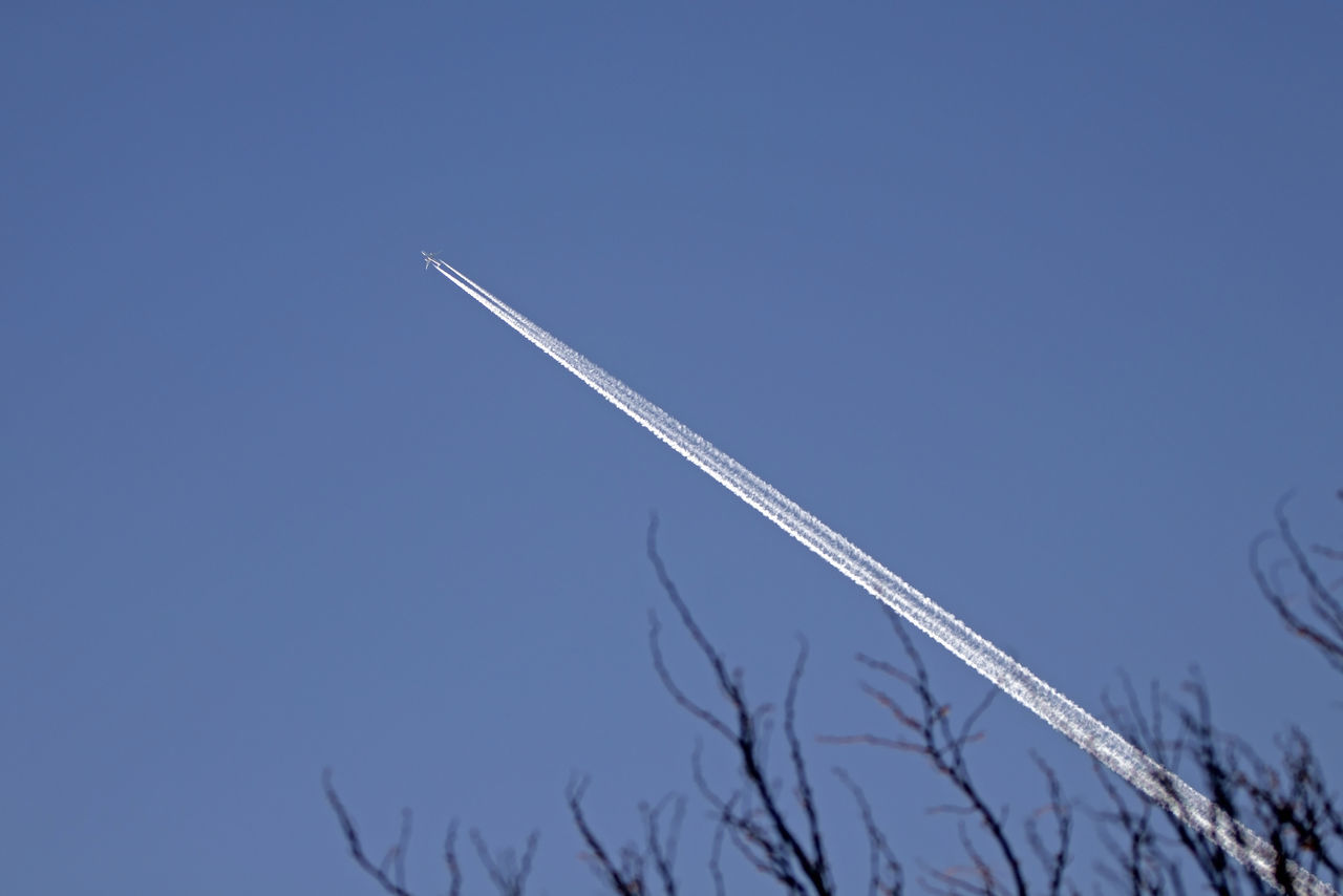 LOW ANGLE VIEW OF VAPOR TRAIL IN BLUE SKY