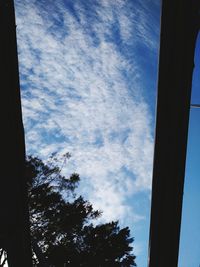 Low angle view of silhouette trees against sky