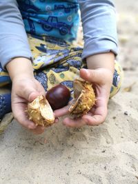 Close-up of child hands holding fruit on sand at beach